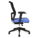 Kancelářská otočná židle THEMIS BP, s područkami a univerzálními kolečky, síťované opěradlo čern