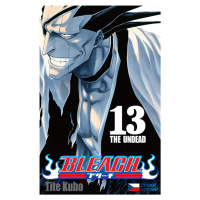 Bleach 13