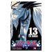 Bleach 13