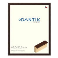 DANTIK rámeček 40 × 50, KASSETTE hnědý sklo čiré