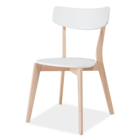 Jídelní židle TABA dub/bílá