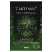 Zaklínač VI.: Veža lastovičky - Andrzej Sapkowski - kniha z kategorie Fantasy