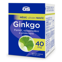 GS Ginkgo 40mg tbl.90+30