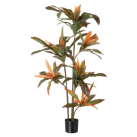 Umělá rostlina (výška 140 cm) Dracena – Ixia