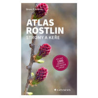 Atlas rostlin - Stromy a keře - Bruno P. Kremer