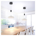 Q-Smart-Home Paul Neuhaus Q-ETIENNE LED závěsné světlo 1x černá