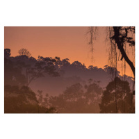 Umělecká fotografie Morning view of Endau Rompin National, shaifulzamri, (40 x 26.7 cm)