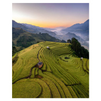 Fotografie Rice fields on terraced prepare the, Vu Viet Dung, (35 x 40 cm)