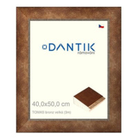 DANTIK rámeček 40 × 50, TOMAS bronz velký sklo čiré