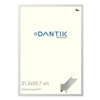 DANTIK rámeček 21 × 29,7, ALU profil 6001 Stříbrný lesklý sklo čiré