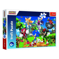 Trefl Puzzle Sonic a přátelé/Sonic The Hedgehog 41x27,5cm 160 dílků v krabici 29x19x4cm