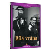 Bílá vrána - DVD