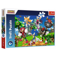 Puzzle Sonic a jeho přátelé 160 dílků