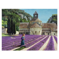 Obrazová reprodukce Lavender Picker, Abbaye Senanque, Provence, Neal, Trevor, 40 × 30 cm