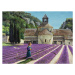 Obrazová reprodukce Lavender Picker, Abbaye Senanque, Provence, Neal, Trevor, 40 × 30 cm