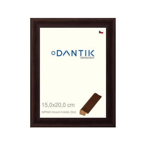 DANTIK rámeček 15 × 20, NPINO tmavě hnědý sklo čiré