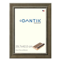 DANTIK rámeček 29,7 × 42, Oro Fino stříbrný plexi čiré