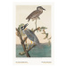 Ilustrace The Yellow Heron from The Birds of America - J. J. Audubon, 26.7 × 40 cm