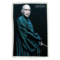Umělecký tisk Voldemort, 26.7x40 cm