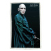 Umělecký tisk Voldemort, (26.7 x 40 cm)