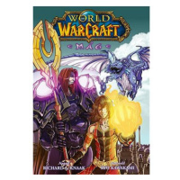 World of Warcraft Mág