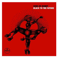 Sons Of Kemet: Black to the Future - CD