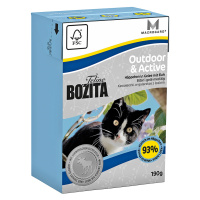 Bozita Feline Tetra Recart 6 x 190 g - Outdoor & Active