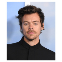 Fotografie Harry Styles at the Premiere Of My Policeman, Steve Granitz, 33.3 × 40 cm