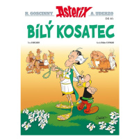 Asterix 40 - Bílý kosatec - Fabcaro