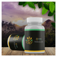 Bulharský Tribulus terrestris 60 tablet 500 mg - extra silný