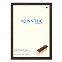 DANTIK rámeček 29,7 × 42, Metalli oidati olověný plexi čiré