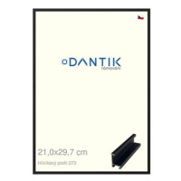 DANTIK rámeček 21 × 29,7, ALU profil 7273 Černý matný sklo čiré