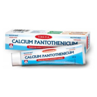 TEREZIA Calcium pantothenicum mast 30 g