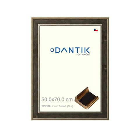 DANTIK rámeček 50 × 70, TOOTH zlato černý plexi čiré