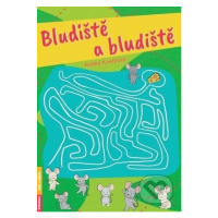 Bludiště a bludiště - Radka Kneblová - kniha z kategorie Pro děti