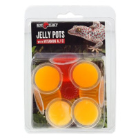 Krmivo REPTI PLANET Jelly Pots Fruit 8 ks