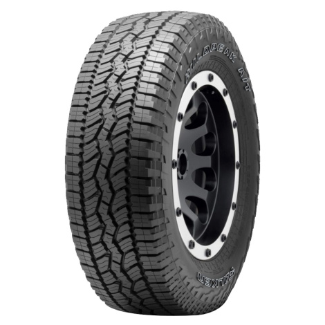 FALKEN 275/65 R 18 113/110S WILD_PEAK_A/T_AT3WA TL LT M+S 3PMSF