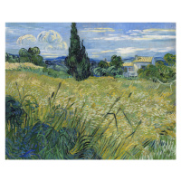 Obrazová reprodukce Green Wheat Field with Cypress (1889), Vincent van Gogh, 40 × 30 cm