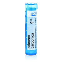 BOIRON Calcarea Carbonica CH9 4 g