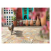 Fotografie Cute domestic cat by house front door, imagedepotpro, (40 x 30 cm)