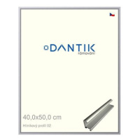 DANTIK rámeček 40 × 50, ALU profil 7002 Stříbrný matný sklo čiré