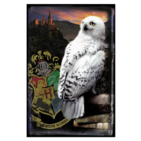 Umělecký tisk Harry Potter - Hedwig, 26.7 × 40 cm