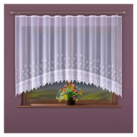 Kusová záclona ANIKA G25/bílá/300x160 BAUMAX