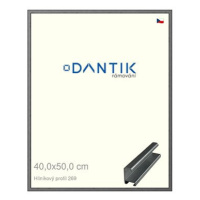 DANTIK rámeček 40 × 50, ALU profil 7269 Ššedý broušený plexi čiré