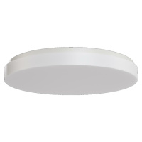 OSMONT COR71554 CORVUS 2 stropní/nástěnné plastové svítidlo IP54 4000 K 49W LED