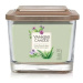 YANKEE CANDLE Cactus Flower and Agave 347 g