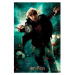 3D puzzle Harry Potter-RonWeasley300ks