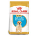 ROYAL CANIN Labrador Retriever Puppy granule pro štěňata 2 × 12 kg