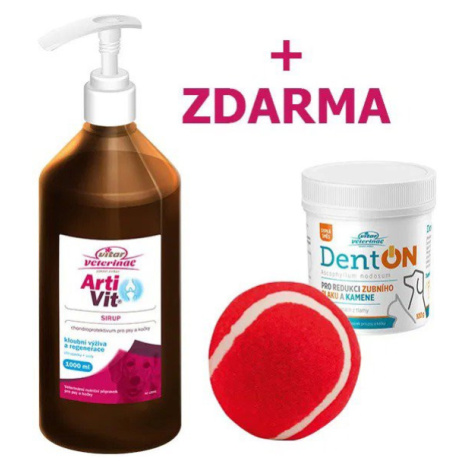 Vitar Veterinae Artivit sirup 1000 ml + Zdarma DentOn 100 g + aportovací míček červený Vitar Veteriane