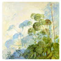 Timothy Easton - Obrazová reprodukce Angelica Shadows, (40 x 40 cm)